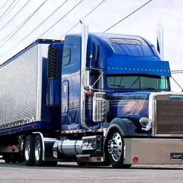 processed-0d1f105c-039e-485e-a67c-d84d4f499e8d_dm8BkiUo