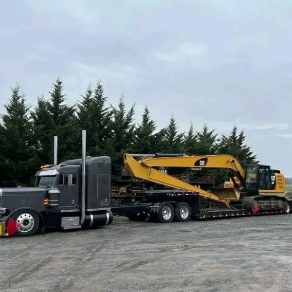 processed-115d919c-c8b3-46ed-a9b7-3221496da68b_iksoJ58S