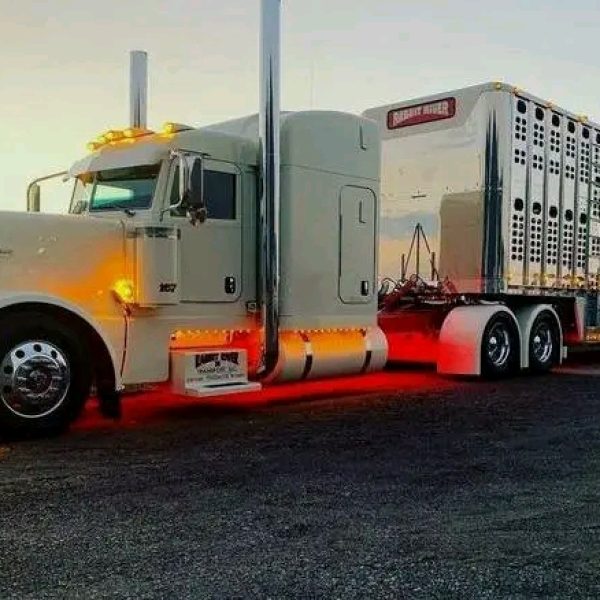 processed-2f9be8a6-a265-44e0-9297-3c1bce7003a0_1VS3Yvc1