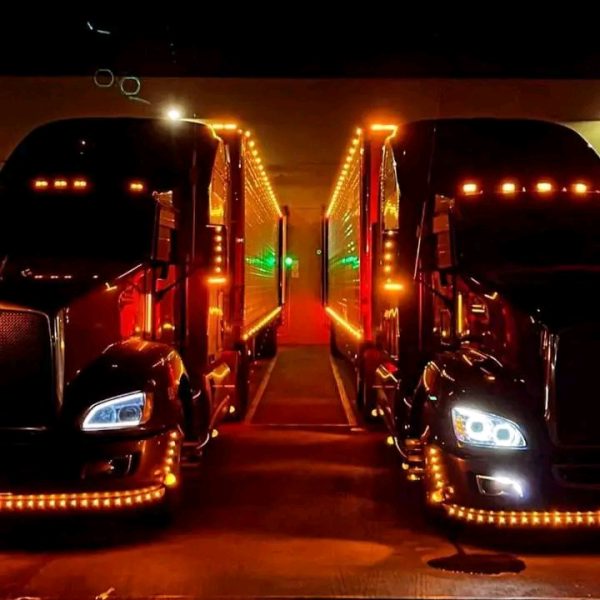 processed-793bf0f1-44a6-460c-8d25-9d175690c8c6_hgMB3ini