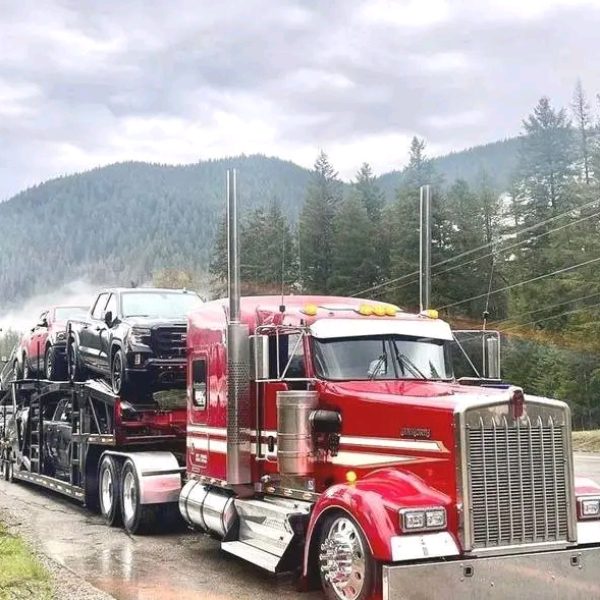 processed-ef4cdcbc-54a2-4c8a-9517-4645f912bde4_XEpFGJq2