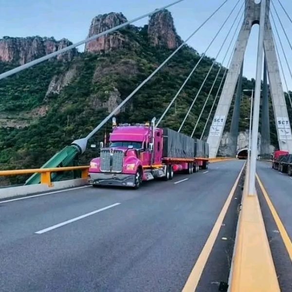 processed-f6891a9b-7d7e-469c-9fd2-8ecb1d45ebf4_HJeOUm9K